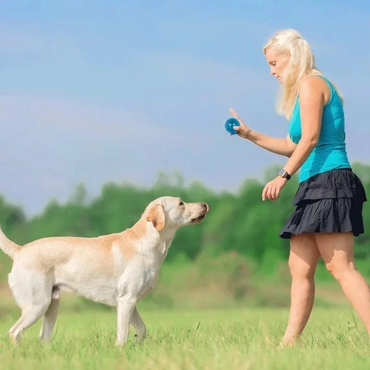 Balle de jeu pour chien en appartement – jouet stimulation mentale anti-ennui