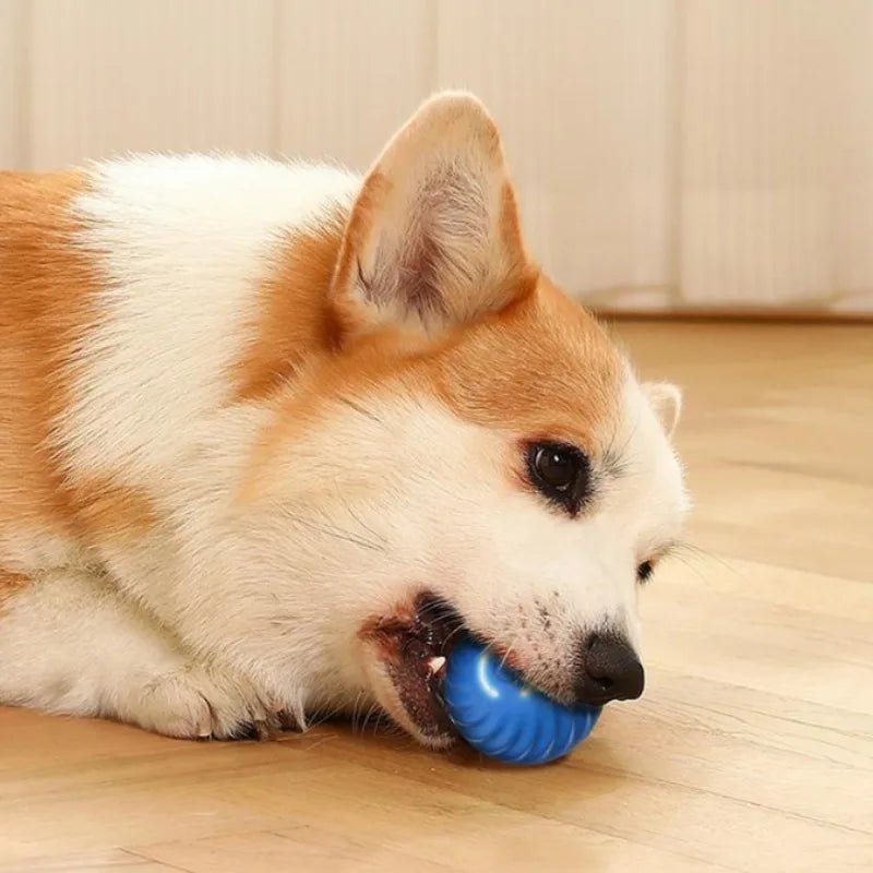 Balle interactive automatique pour chien énergique à la maison