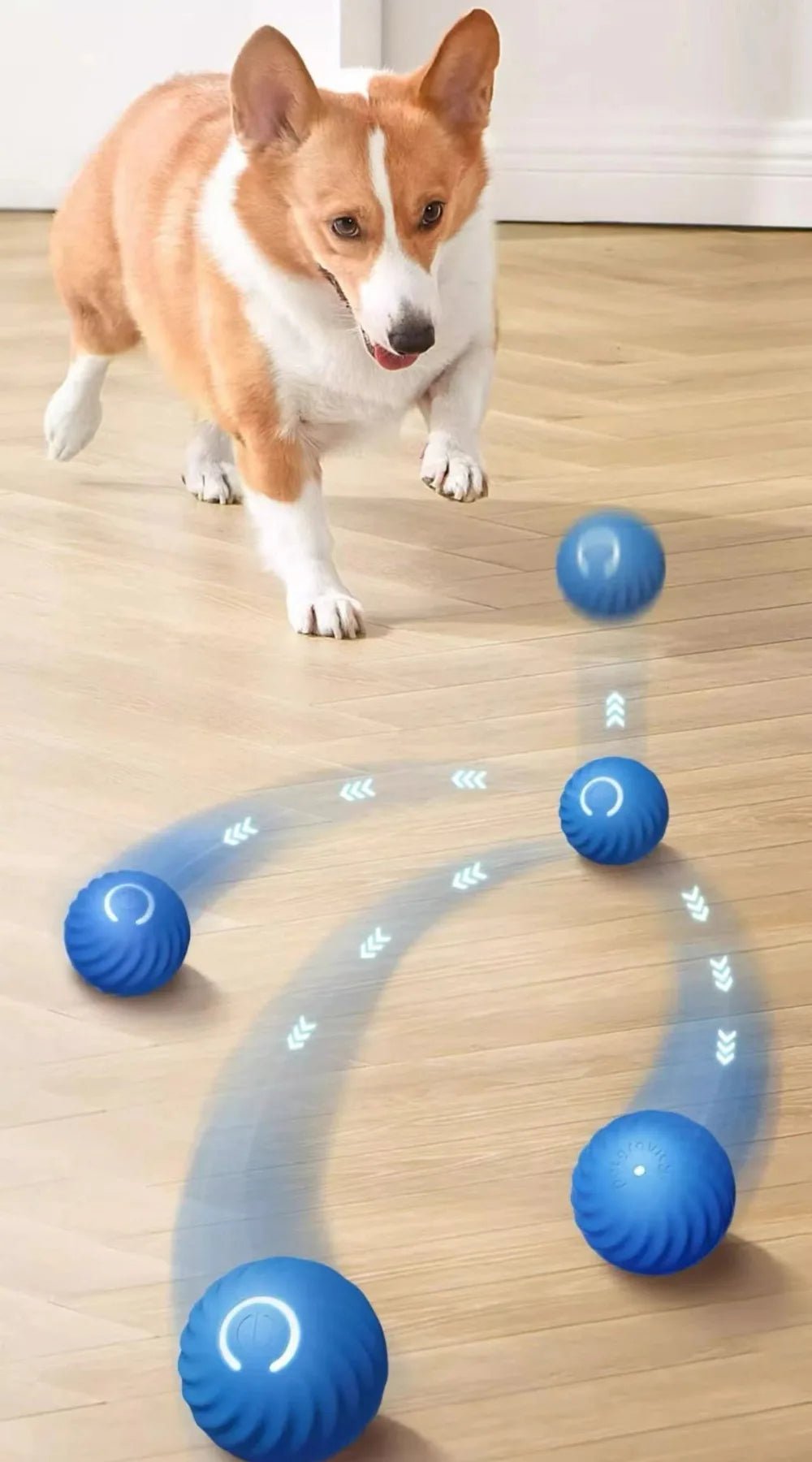 Jouet interactif chien appartement – balle motorisée intelligente