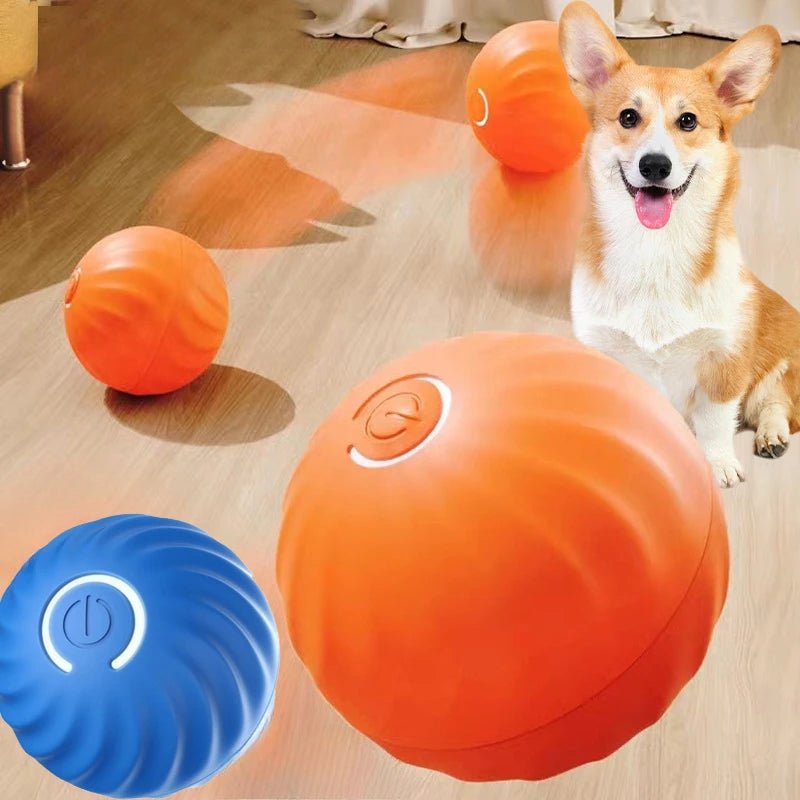 Jouet interactif automatique pour chien intérieur – stimulation mentale