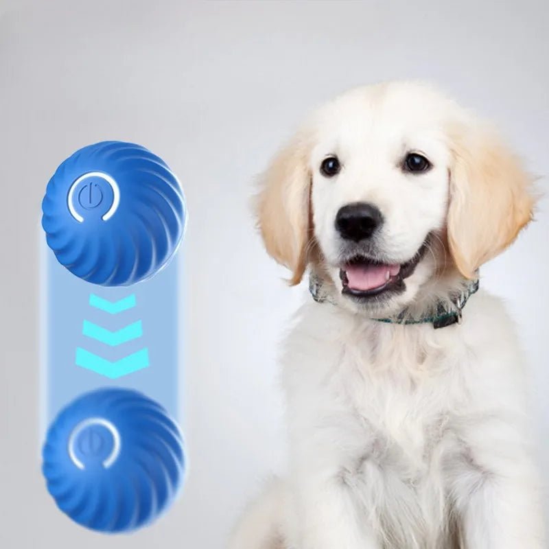 Balle intelligente pour chien actif en appartement