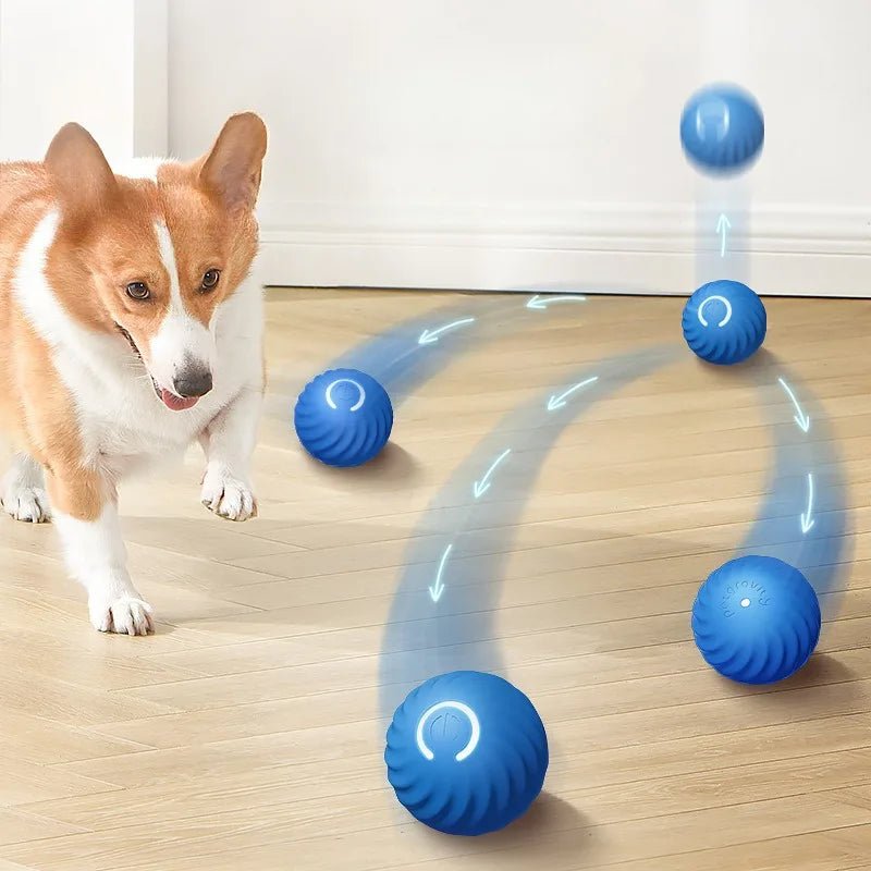 Jouet anti-ennui pour chien en intérieur – balle automatique autonome