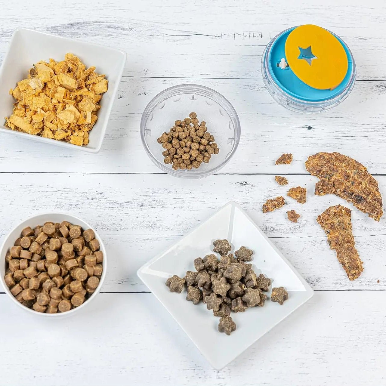 Balle d’occupation chien appartement – stimulation mentale avec distribution de croquettes