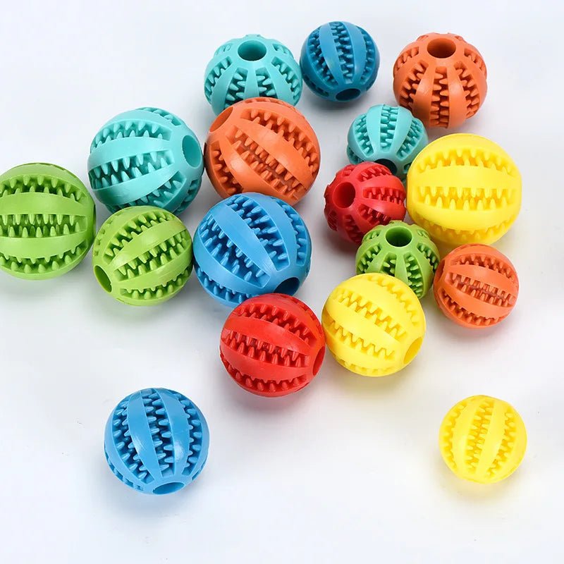 Jouet nettoyage dents chien actif – balle éducative avec récompense