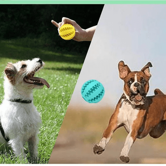 Jouet dentaire pour chien en appartement – balle interactive anti-ennui