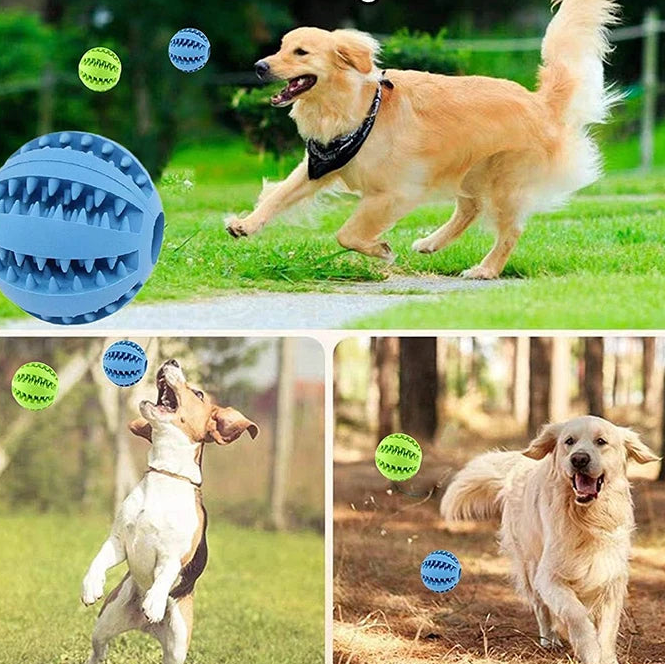 Balle nettoyage dents chien – jouet distributeur de friandises pour appartement