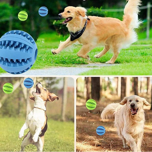 Balle nettoyage dents chien – jouet distributeur de friandises pour appartement