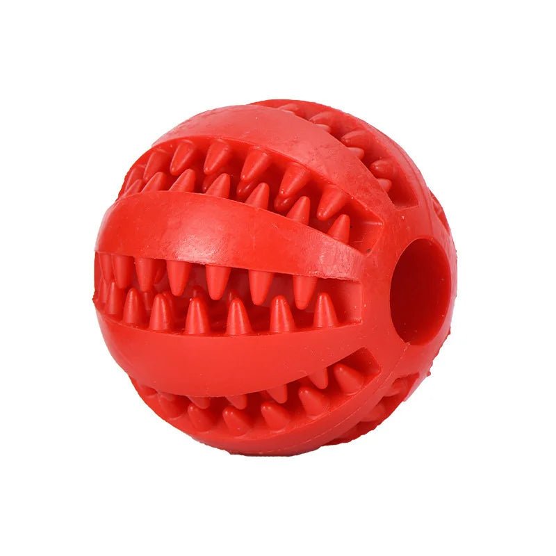 Balle interactive pour chien anxieux en appartement – stimulation et hygiène