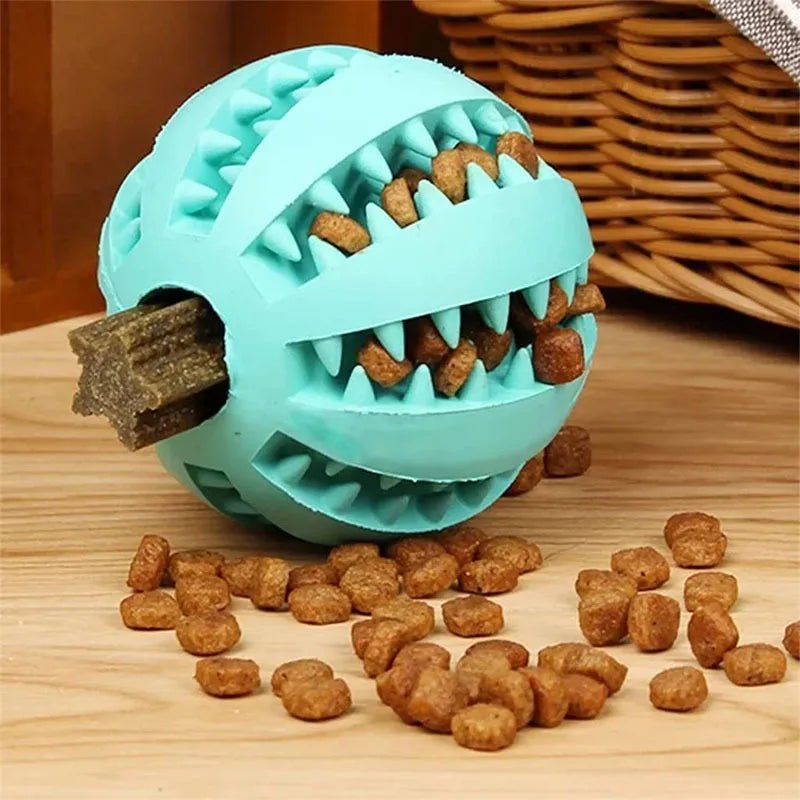 Balle anti-tartre pour chien en appartement – jouet à friandises