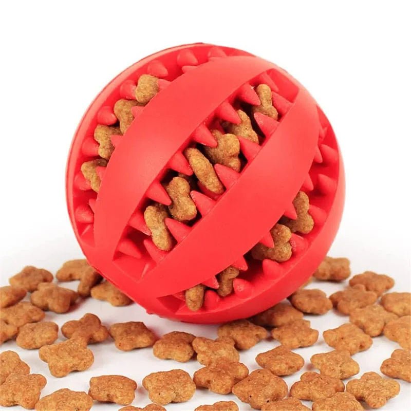Jouet interactif chien intérieur – balle stimulation mentale et hygiène dentaire