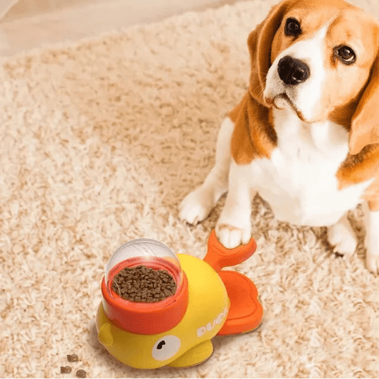 Distributeur de friandises pour chien en appartement – jouet anti-ennui interactif