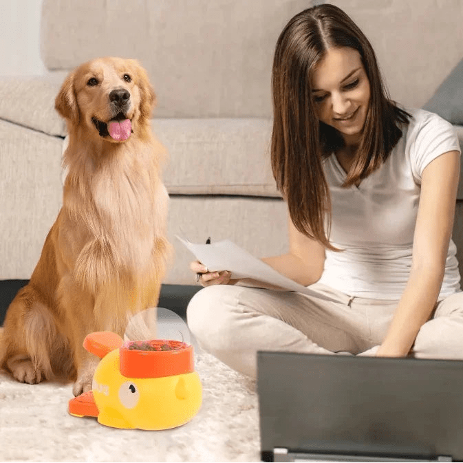 Distributeur de friandises chien robuste – jeu éducatif pour appartement