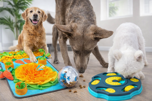 Pack Anti - Ennui Appartement+™ - Zendoggo