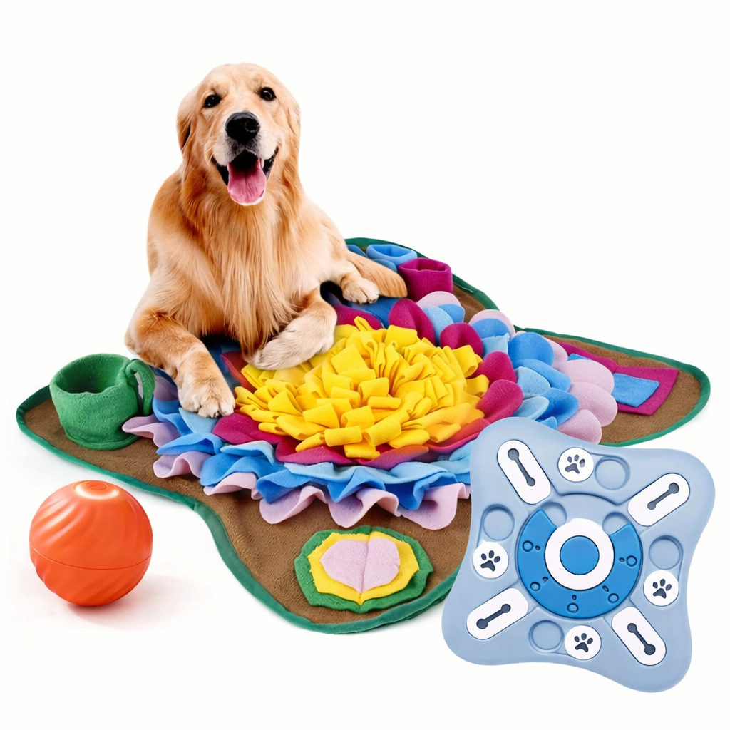 Pack Sérénité Appartement™ - Zendoggo