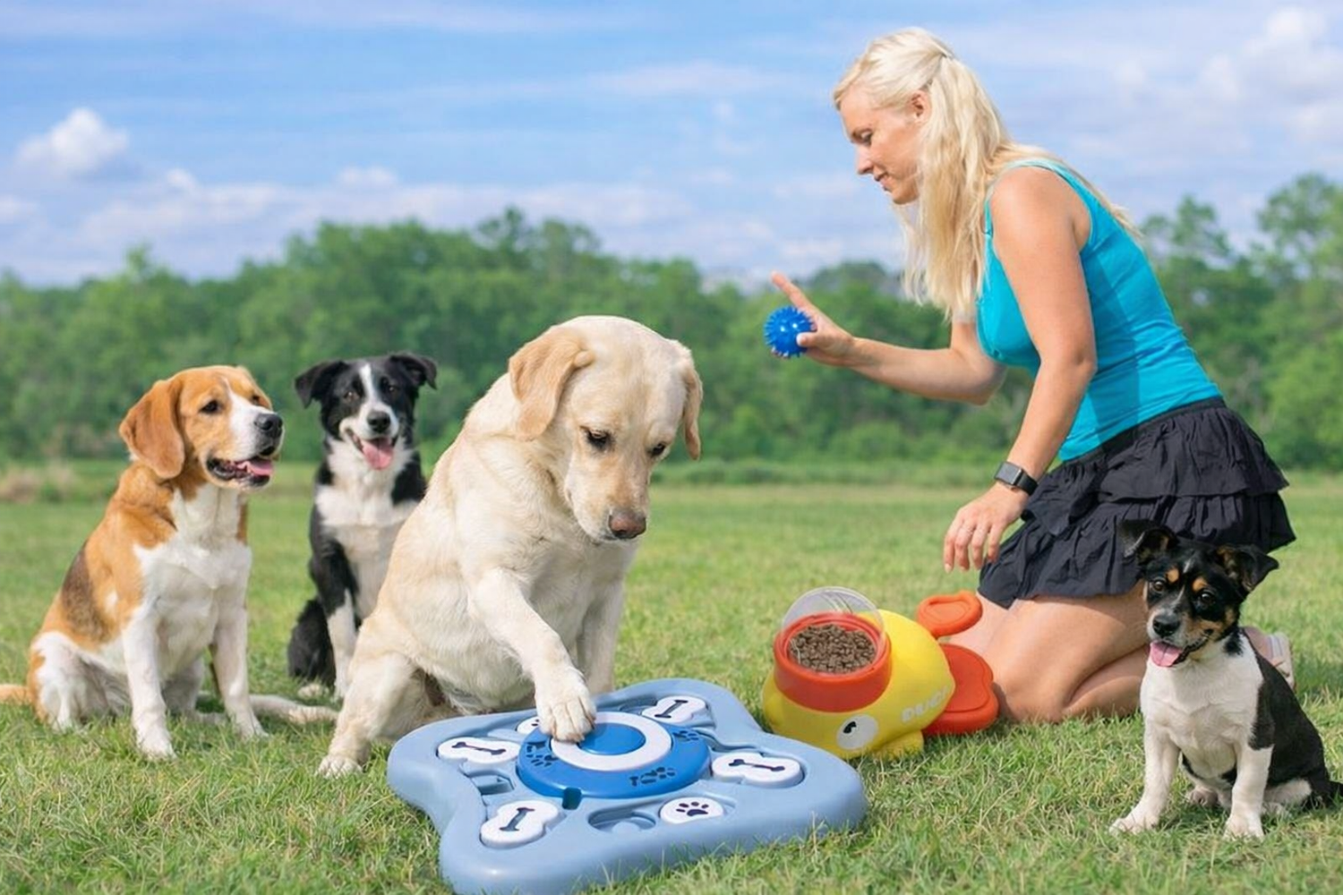 Pack Zen Appartement™ - Zendoggo