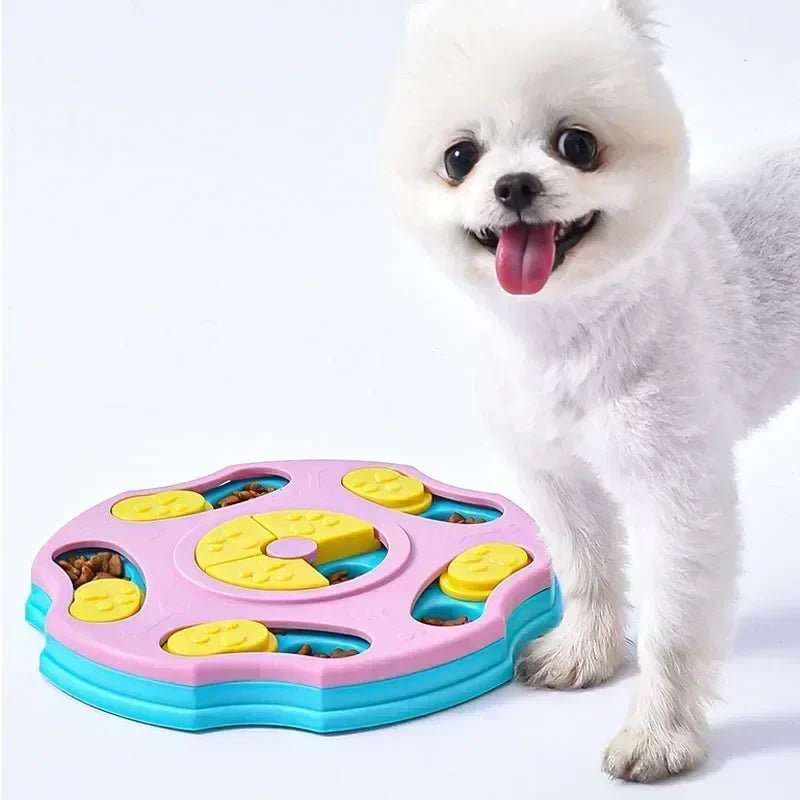 Mangeoire lente interactive pour petit chien – anti-glouton