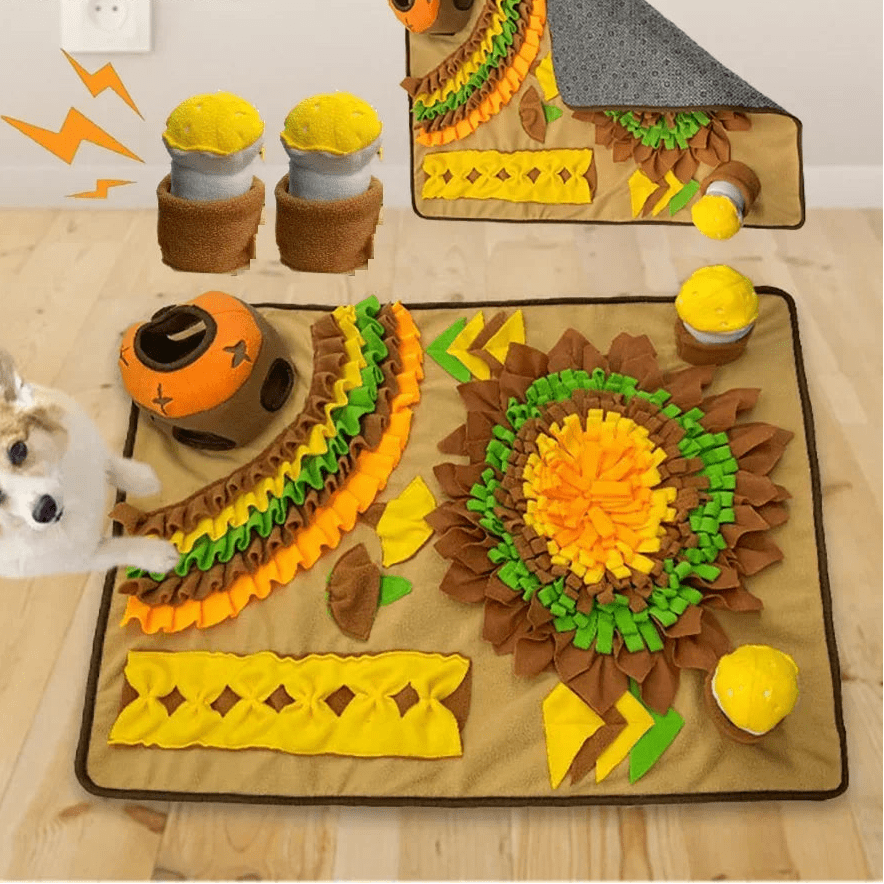 Tapis de recherche de friandises pour chien en appartement