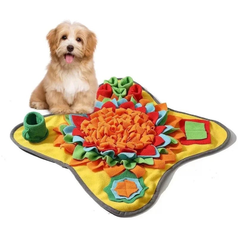 Tapis d’activité mentale pour chien d’appartement – anti-ennui